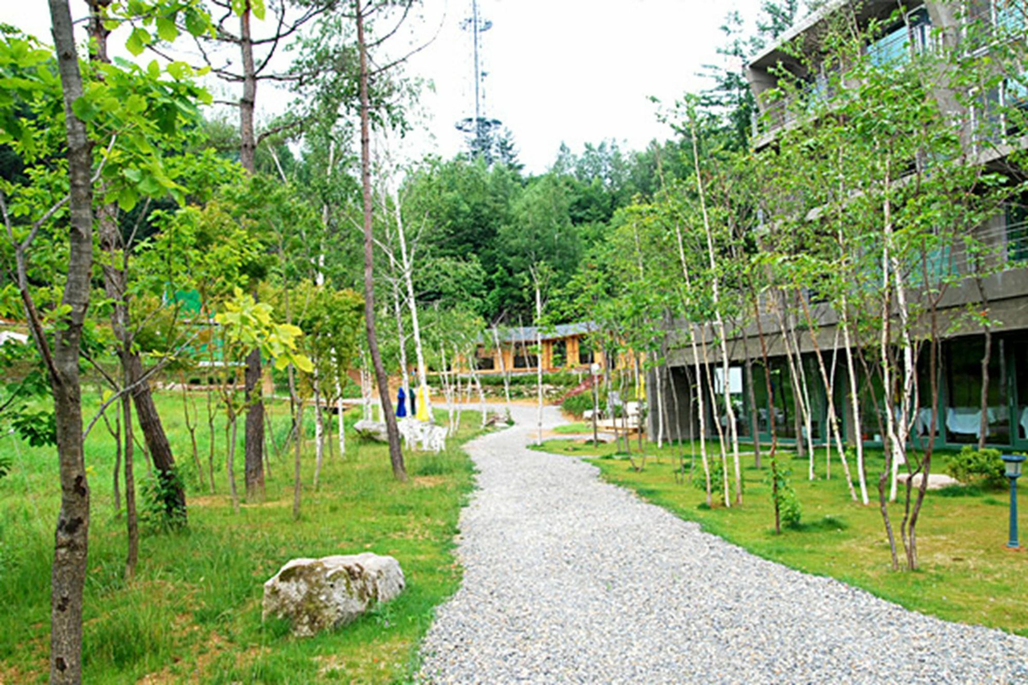 Pyeongchang The Sky Forest Hotel Luaran gambar