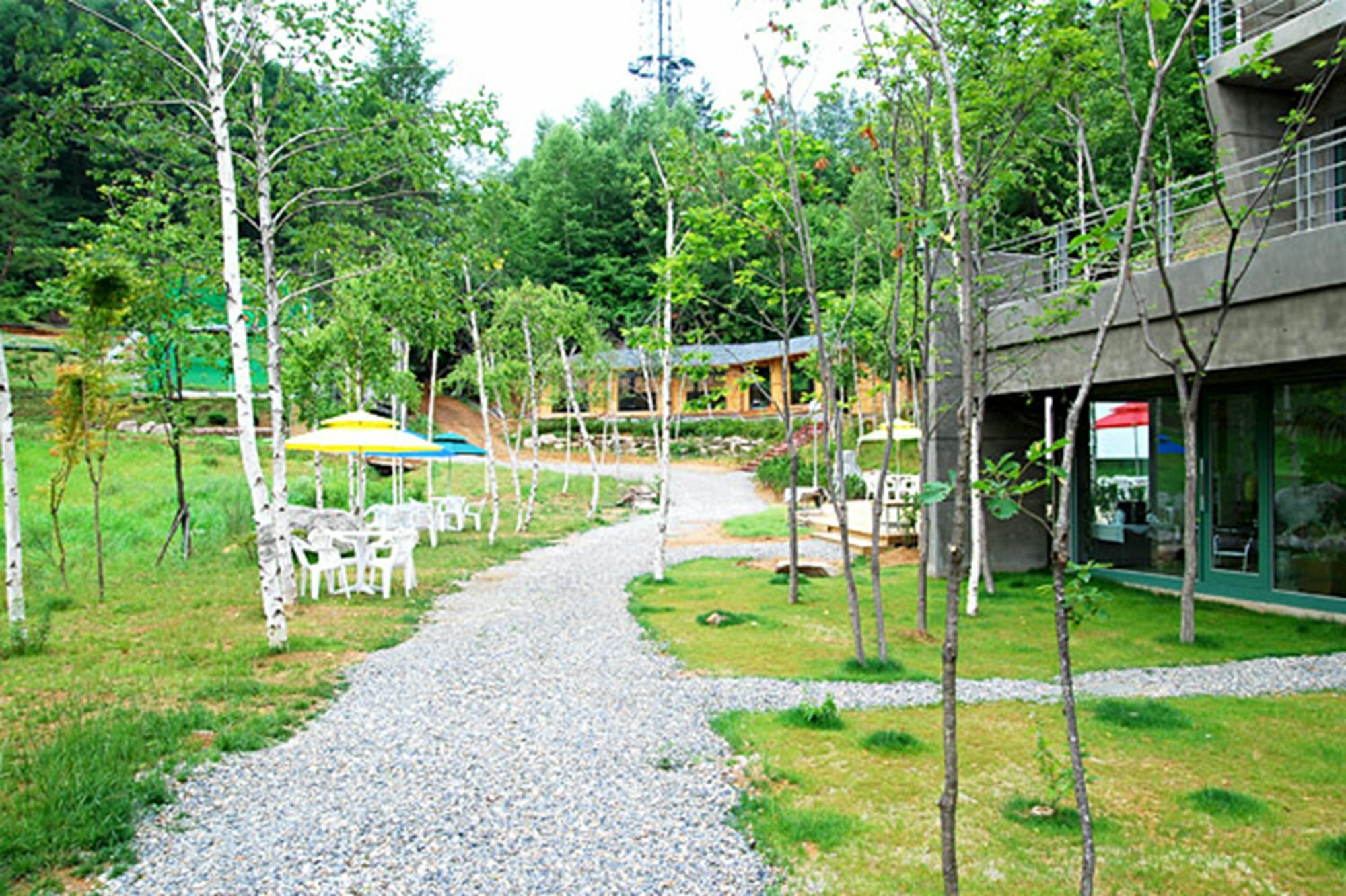 Pyeongchang The Sky Forest Hotel Luaran gambar